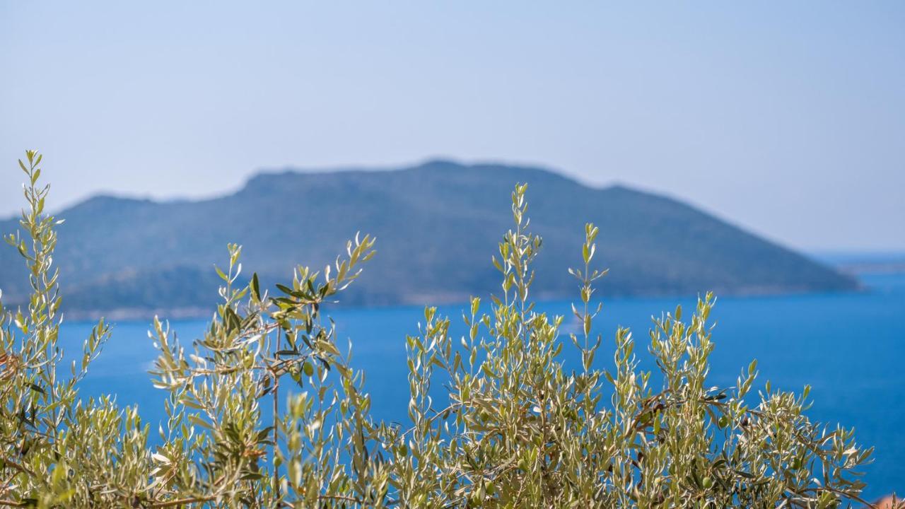 Sea Mist Suites Kaş Exterior foto